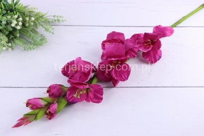 Mieczyk gał. SUN367 beauty #2881