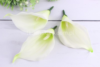 Calla wyrobowa CT53 mniejsza (24 szt) biel z ziel. akcentem #3