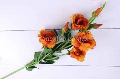 Eustoma gał. SUN345 gold brown #2894