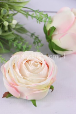 Camelia wyrobowa / pełnik SUN564 (12 szt) apricot cream #3064