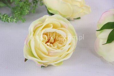 Camelia wyrobowa / pełnik SUN602 (24 szt) vanilla pudding #3062