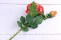 3891.JPG