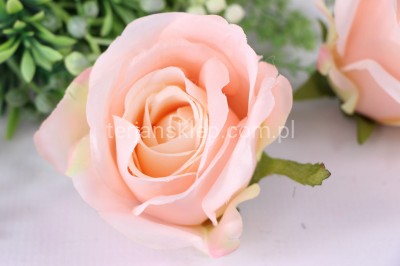 Róża wyrobowa MGHT (12 szt) delicate peach #158