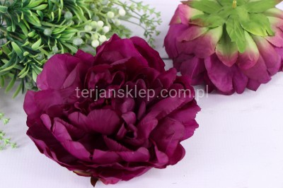 Peonia wyrobowa SUN406 (12 szt) dr beauty green #2877