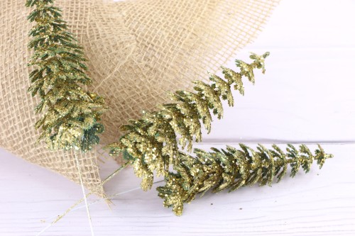 4036.JPG