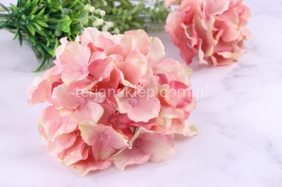 Hortensja wyrobowa SUN644 flamingo #3091