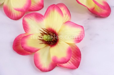 Magnolia wyrobowa MNIEJSZA CK87 (12 szt) lemon pink #32