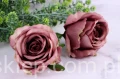 4238.JPG