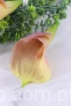 4266.JPG