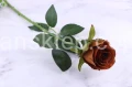 4316.JPG