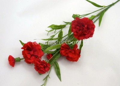 Goździki gałązka SUN641 red #928