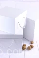 4575.JPG