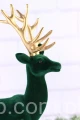4634.JPG