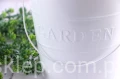 4874.JPG
