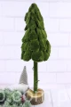 4981.JPG