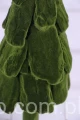 4987.JPG