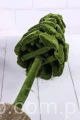4985.JPG