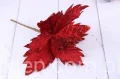 5158.JPG
