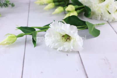 Eustoma SUN357 (12 szt) white #1175