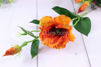 Eustoma SUN357 (12 szt) gold brown #2894/ruda