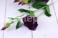 5110.JPG