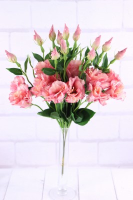 Eustoma SUN357 (12 szt) dirty pink #2892