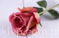 5206.JPG