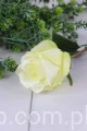 5203.JPG
