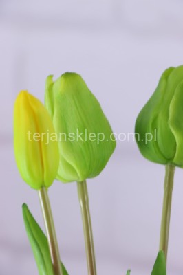 Tulipany silikonowe wiązka CV18658 green #5 / mix