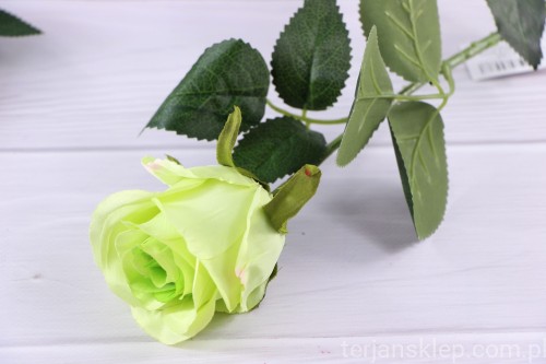 5345.JPG