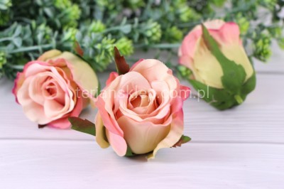 Róża NAOMI SUN412 pąk (24 szt) lt mauve #1496