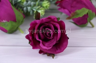 Róża NAOMI SUN412 pąk (24 szt) sweet fuchsia #3004