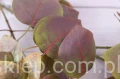 5649.JPG
