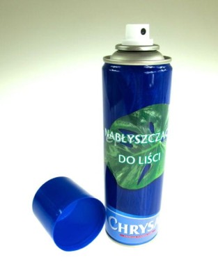 Pokon - nabłyszczacz 250 ml