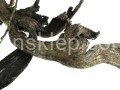 c178934dfe434f4e7bc8f8ad9e3329a5fac70ed2