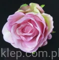 d48d1336ce5ec0d5bd7b91f47a254dd105c7175a