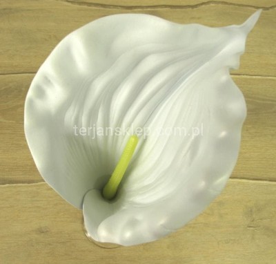 Calla piankowa H253 (12 szt) pure white