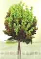IMG_9193.JPG