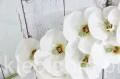 00005336.JPG