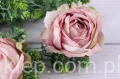 5849.JPG