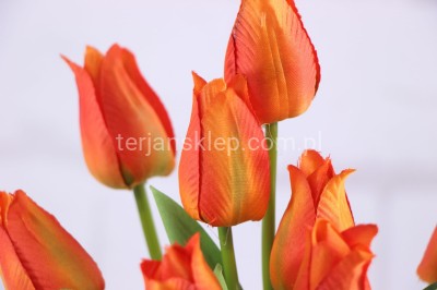 Bukiet tulipanów delikatnie rozchylonych CT94  c.pomarańcz