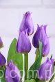 5890.JPG