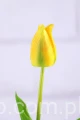 5929.JPG