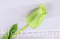 5922.JPG