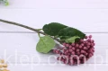 6262.JPG
