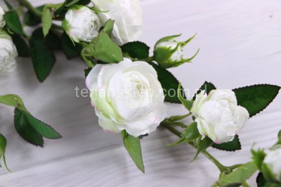 Gałąź dzikiej róży SUN663 ecru #3060