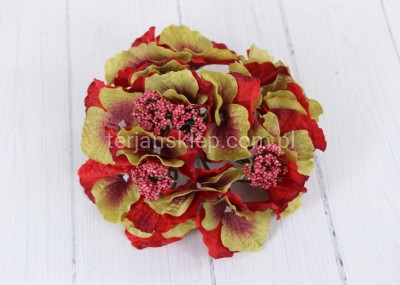 Hortensja J015 / L036 new cerise green # H-51