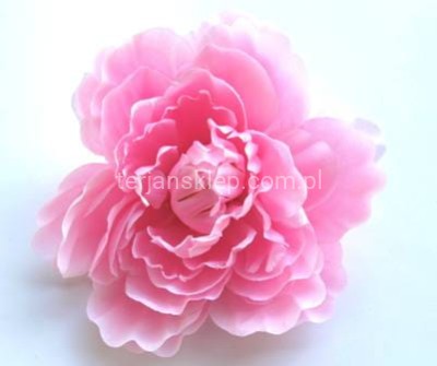 Peonia K089 (12 szt) pink (j.róż)