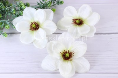 Magnolia wyrobowa MNIEJSZA CK87 (12 szt) biel #10