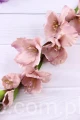 6835.JPG